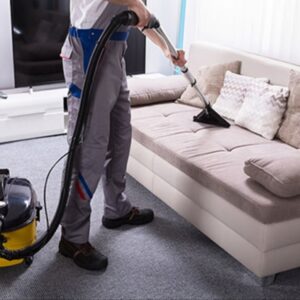 Sofa & Cushion Cleaning- Combo Package