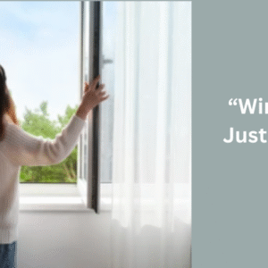 Window cleaning (upto 4ft x 4ft)